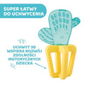 Chicco, Kaktus, gryzak wodny