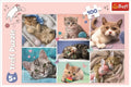 Trefl, W kocim świecie, puzzle, 100 elementów
