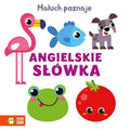 Przeciwieństwa. Maluch poznaje