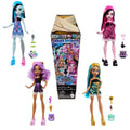 Monster High, Ukryte sekrety, Straszynocowanka, lalka Clawdeen Wolf i akcesoria