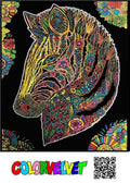 Zebra. Kolorowanka welwetowa, 47x35 cm