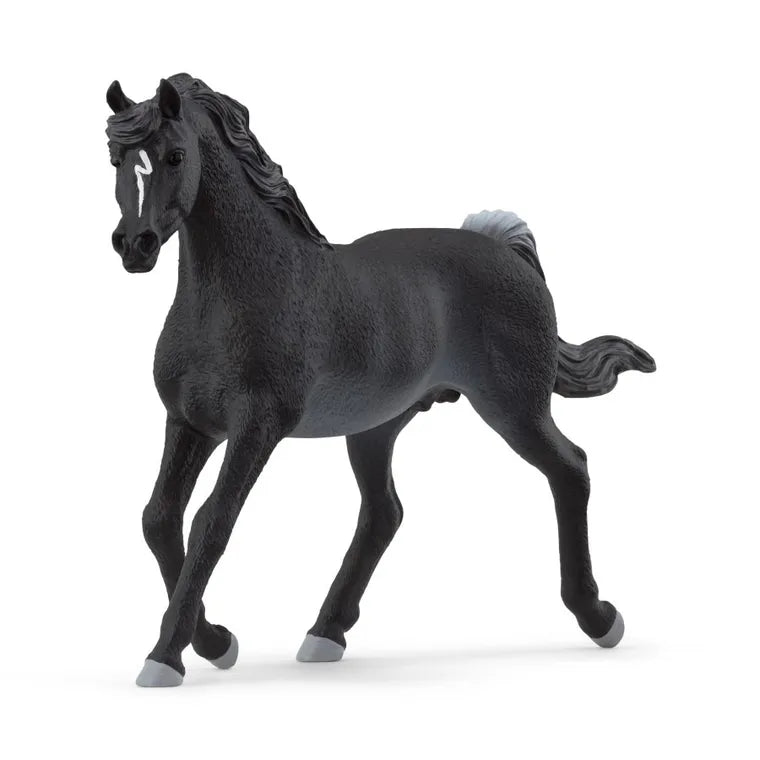 Schleich, Horse Club, Ogier czystej krwi arabskiej, figurka, 13981