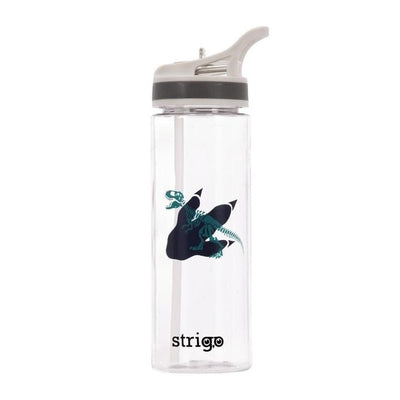Strigo, Dinozaur, bidon, 600 ml