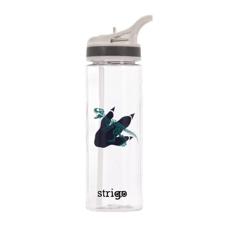 Strigo, Dinozaur, bidon, 600 ml