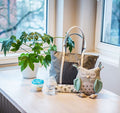 BabyOno, Basic so dynamic! torba dla mamy, szara