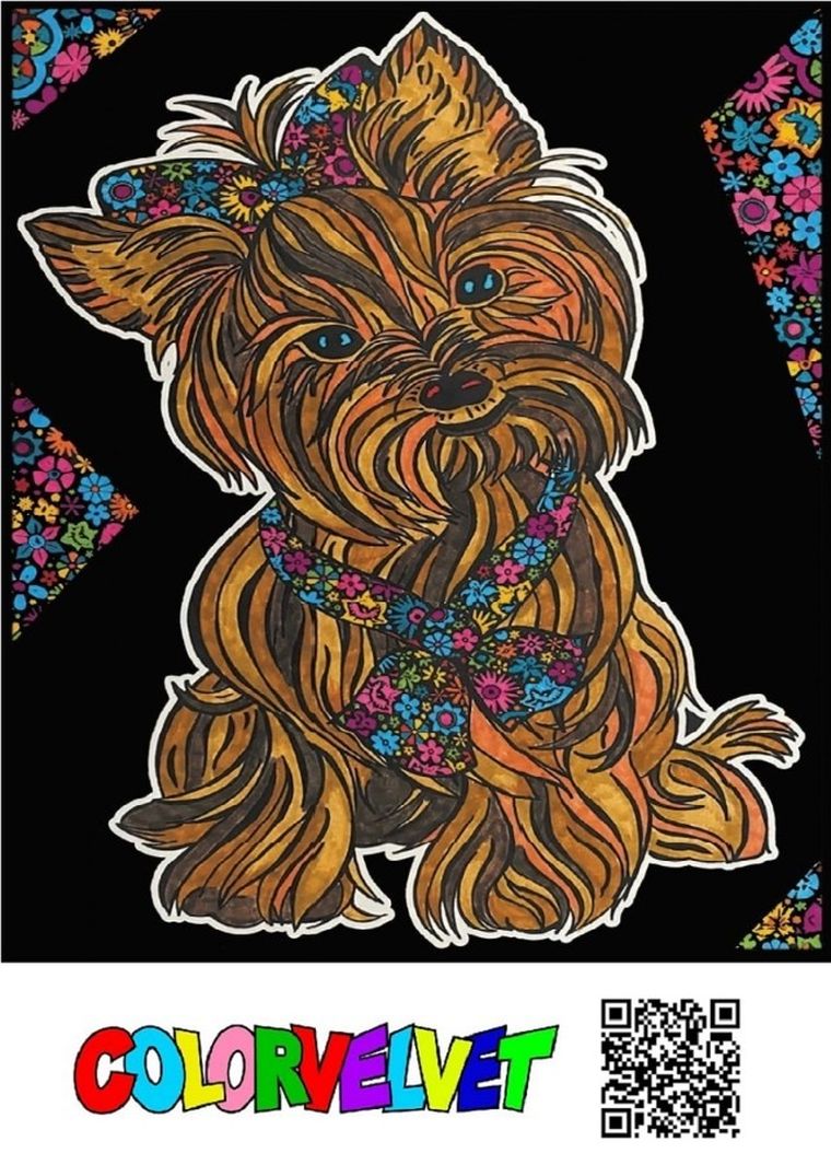 Yorkshire Terrier. Kolorowanka welwetowa 47x35 cm