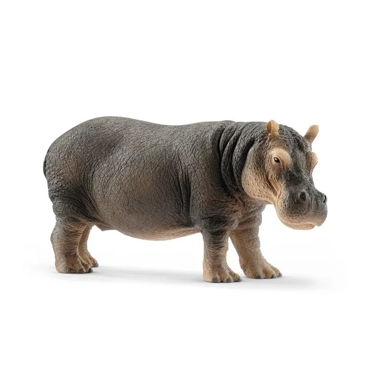 Schleich, Wild Life, Hipopotam, figurka, 14814