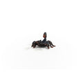 Schleich, Wild Life, Skorpion Cesarski, figurka, 14857