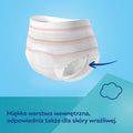 Canpol babies, zestaw dla mam po porodzie:  majtki dla kobiet po porodzie, rozmiar L/XL, 2 szt. + chusteczki nawilżane, 60 szt.