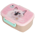 Cleo i Frank, lunchbox, Kot