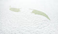 Sensillo, Luxe aloe vera, gryczano-piankowo-kokosowy materac, 120x60 cm