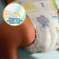 Pampers, Premium Care, pieluchy jednorazowe, rozmiar 3, 6-10 kg, 60 szt.
