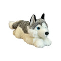 Dubi Plusz, Pies husky, maskotka, 42 cm