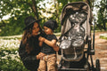 BabyMatex, Paddi'x, Ważki, wkładka redukująca nacisk do wózka, fotelika, 9-18 kg
