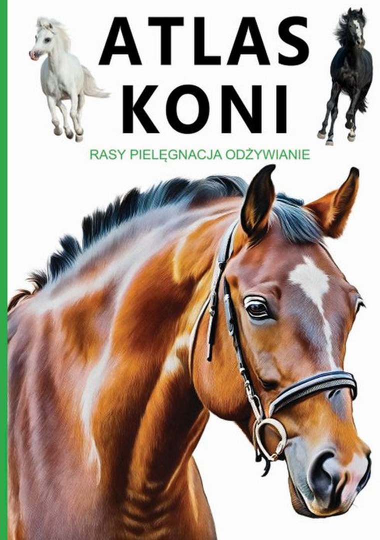 Atlas koni