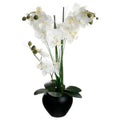 Atmosphera, orchidea sztuczna w czarnej doniczce, 50 cm