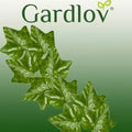Gardlov, sztuczny bluszcz, girlanda, 25.2m