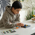 Smart Games, IQ Perplex, gra logiczna
