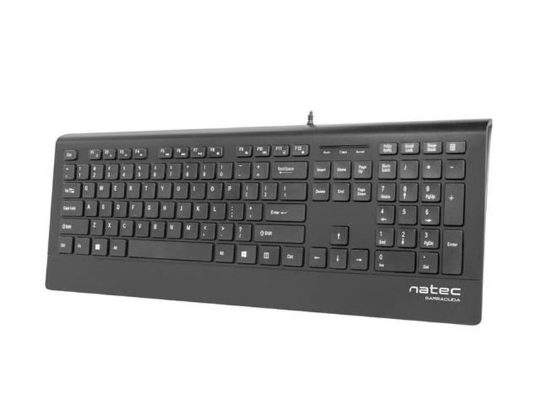 Natec, klawiatura membranowa, Barracuda, NKL-0876 USB 2.0, US, czarna