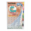 Dino World, flamastry dwustronne