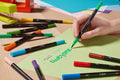 Bic, Intensity Dual Tip, flamastry dwustronne, 12 szt.