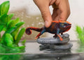Schleich, Wild Life, Kameleon, figurka, 14858