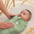 ergoPouch, Willow, otulacz, śpiworek, TOG 2.5, 3-6 m