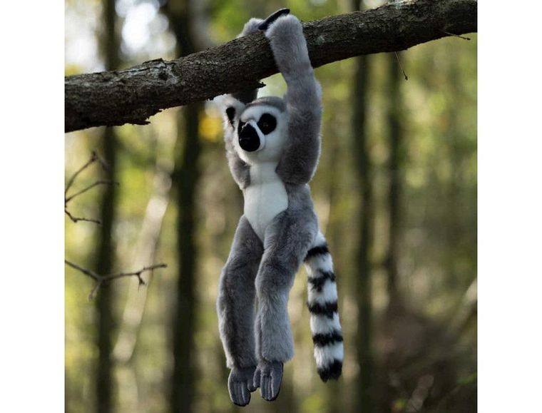 One For Fun, lemur na rzepy, maskotka