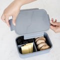 3 Sprouts, Bento, lunchbox, Blue