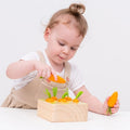 New Classic Toys, marchewki, sorter