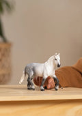 Schleich, Farm World, Klacz rasy Perszeron, figurka, 13971