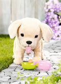 Baby Born, My dog Lucky, piesek na smyczy, maskotka z akcesoriami