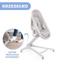 Chicco, Baby Hug 4in1, kołyska, leżaczek, krzesełko, Glacial