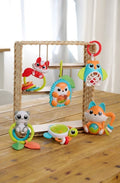 Chicco, Baby Sense & Focus, grzechotka, lisek
