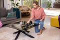 Karcher, WV 5 Plus Anniversary, myjka do okien